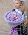 Букет учителю с гортензией лиловый №47