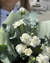 Букет учителю из диантусов №50