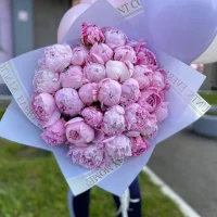 Букет из 31 пиона