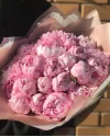 Букет из 31 пиона