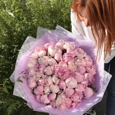 Букет из 51 пиона