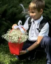 День знаний №14 Сумочка с белой гипсофилой