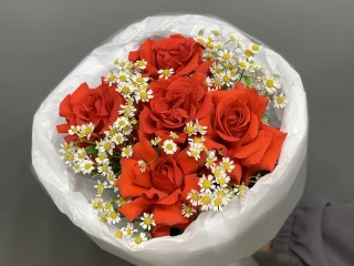 Коллеге