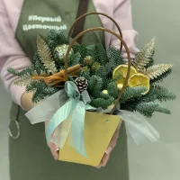Новогодняя композиция Елка в сумке (цитрус)